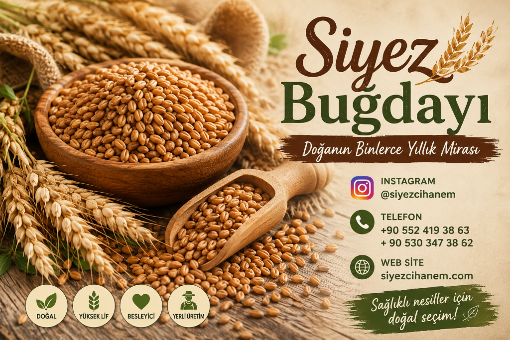 neden-siyez-tüketmeliyiz-?